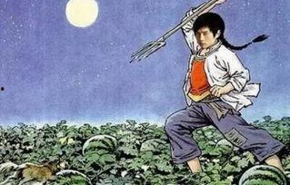 娱乐圈吃瓜的猹小说,瓜田里的明星秘闻